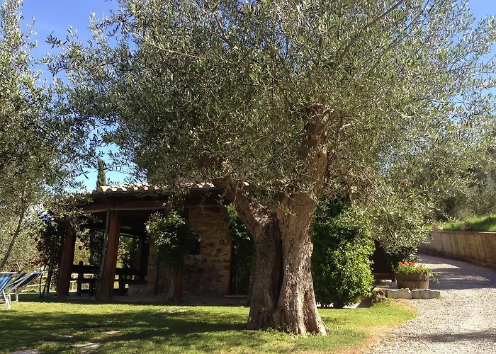 Podere Poggio Benedetto Kır Evi Saturnia